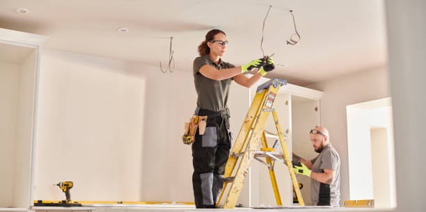 Best Electric Panel Repair  in Tilden, NE